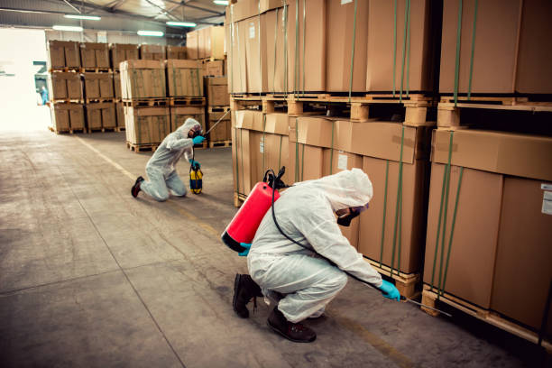 Best Bed Bug Extermination  in Yale, OK