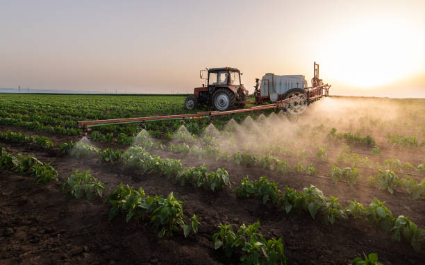 Best Ant Control Services  in Yale, OK