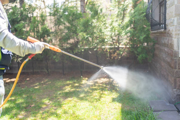 Trusted Yale, OK Pest Control Experts