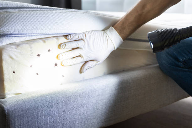 Best Pest Inspection Near Me  in Yale, OK