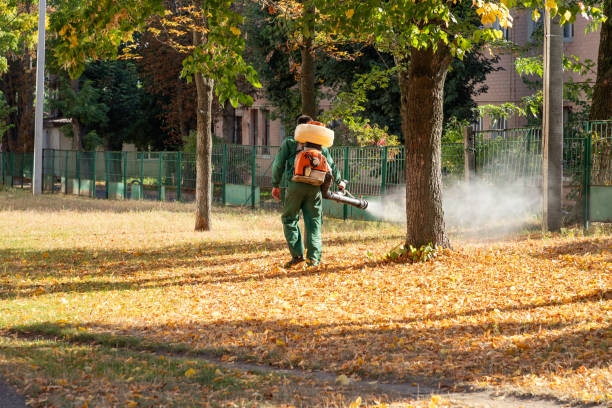Best Exterminator Services  in Yale, OK