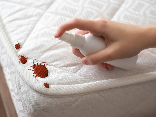Best Pest Control Near Me  in Yale, OK