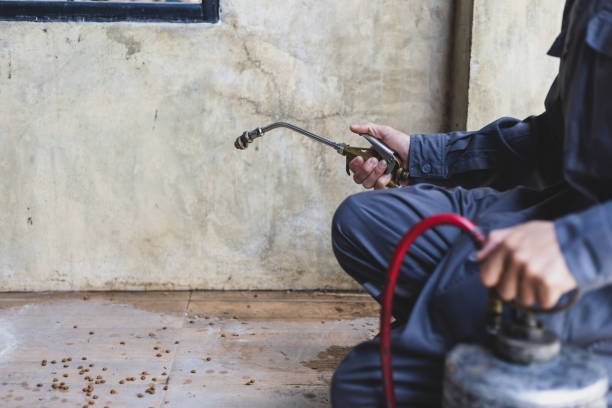 Best Best Pest Control Companies  in Yale, OK